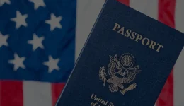 irs-form-ds-4080-header