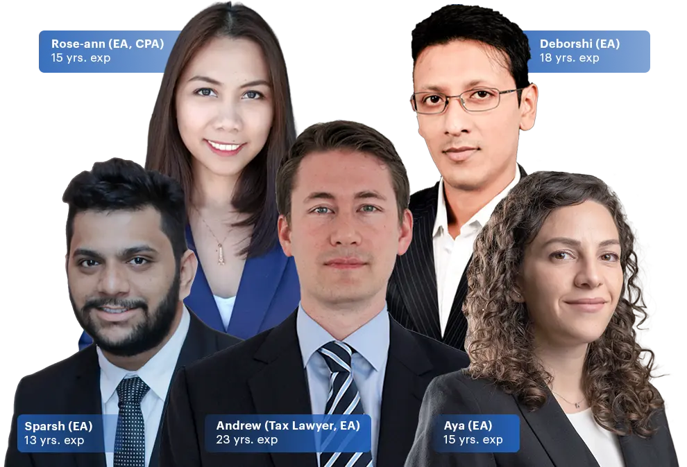 expat-tax-online-us-tax-specialist