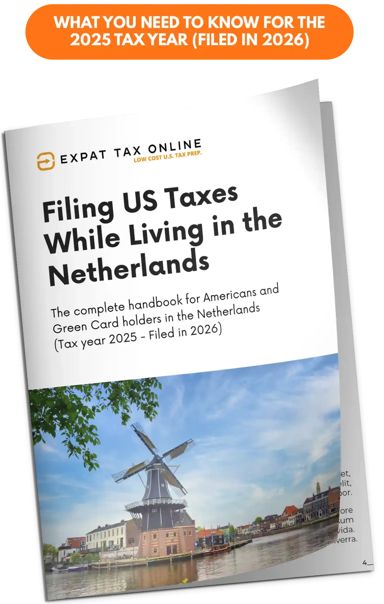 filing-us-taxes-in-the-netherlands