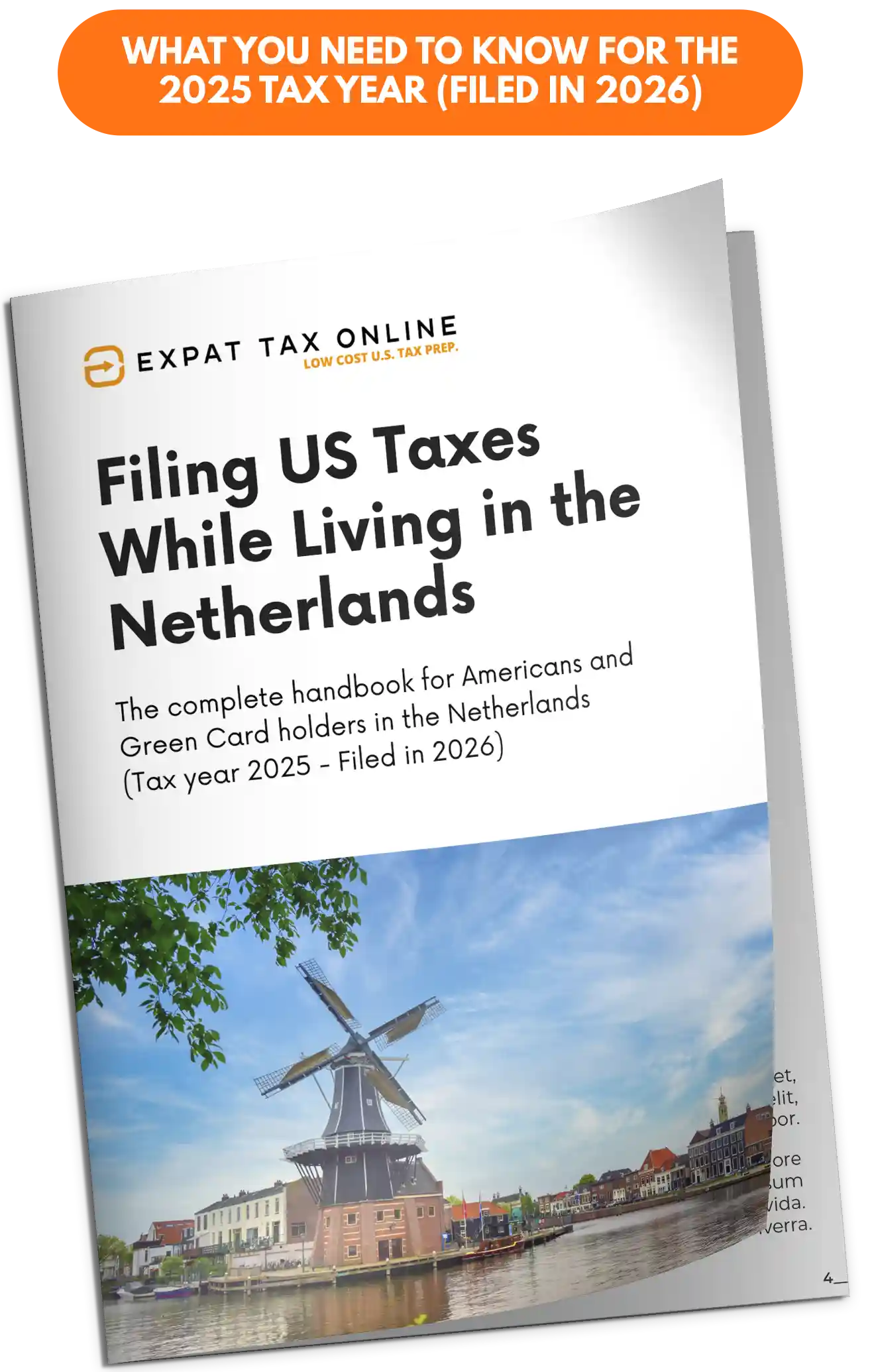 filing-us-taxes-in-the-netherlands